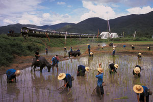 Eastern and Oriental Express