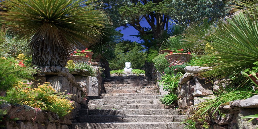 Tresco Abbey Gardens